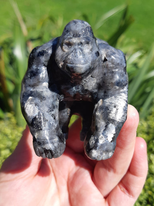 Larvikite Gorilla