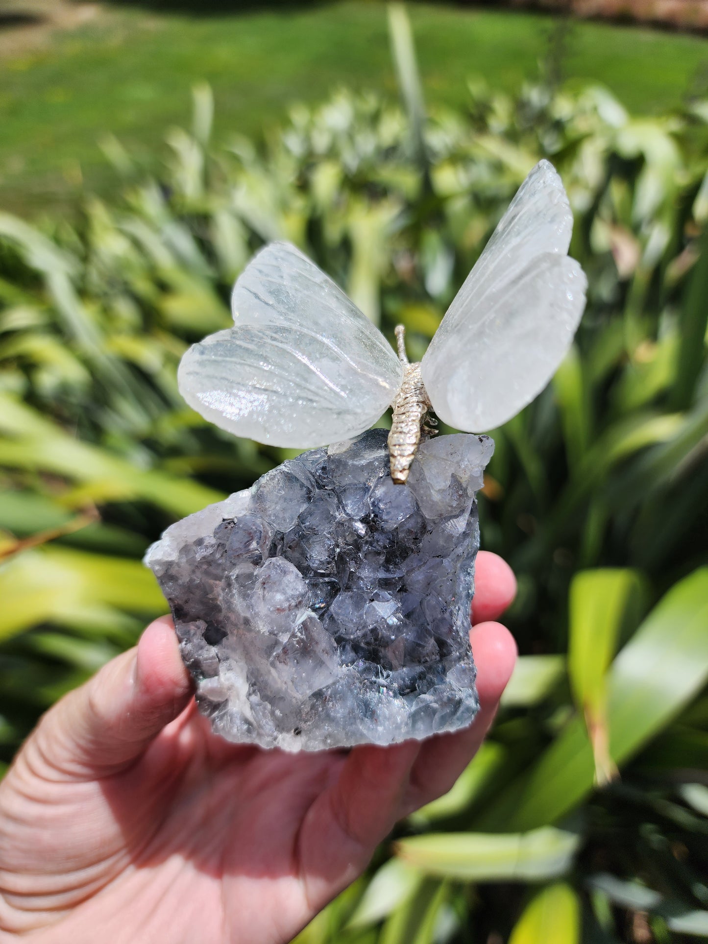 Clear Quartz Butterfly on Amethyst