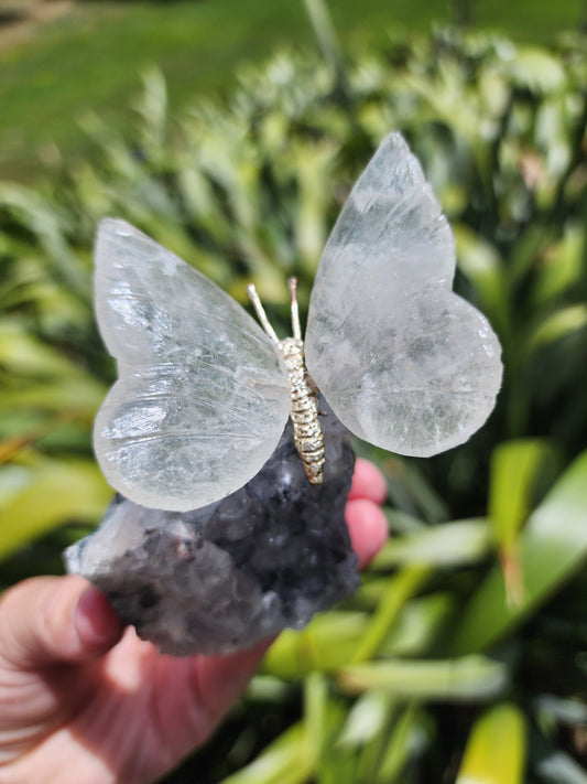 Clear Quartz Butterfly on Amethyst