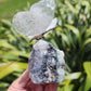 Clear Quartz Butterfly on Amethyst