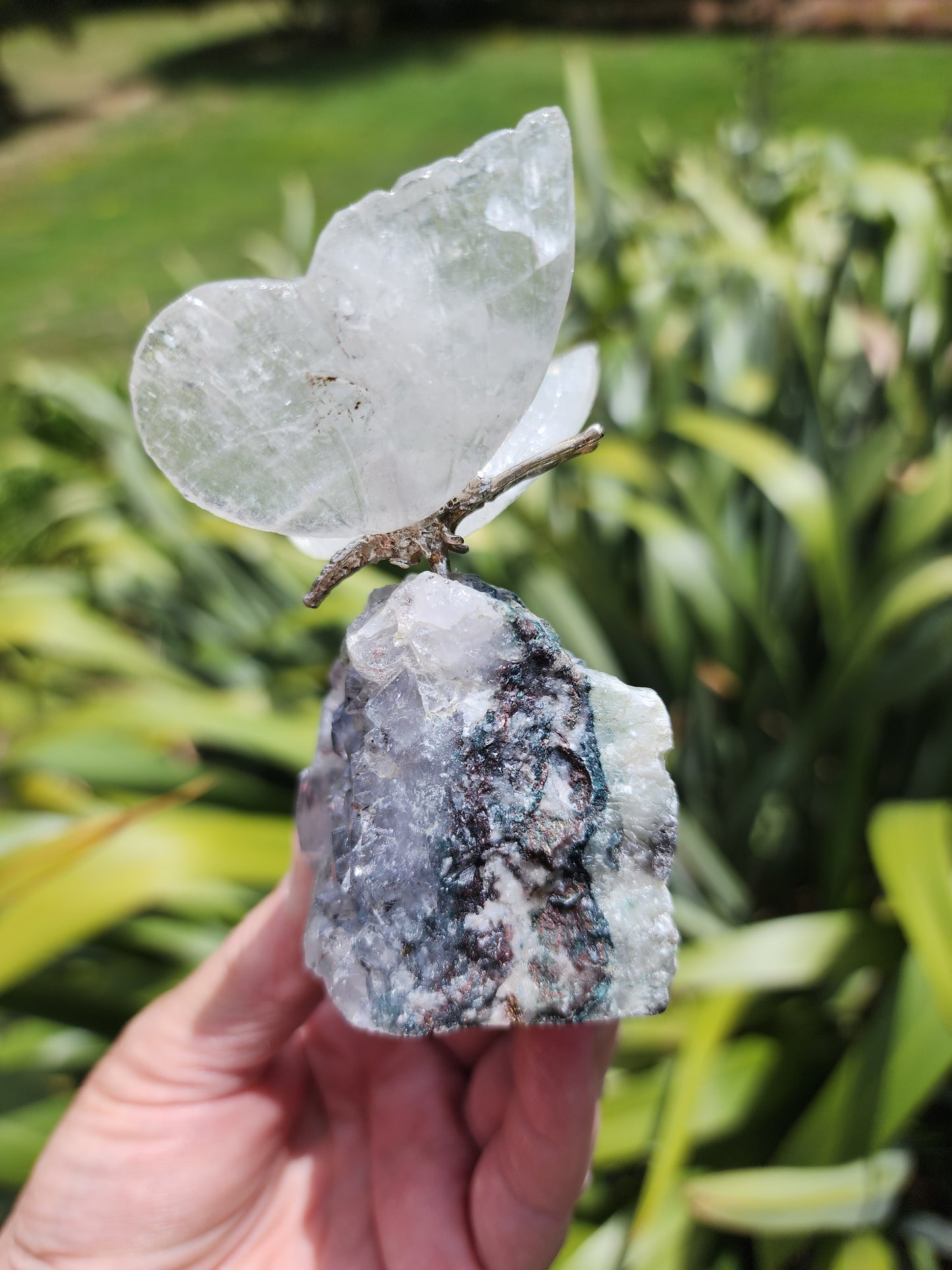 Clear Quartz Butterfly on Amethyst