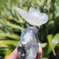 Clear Quartz Butterfly on Amethyst