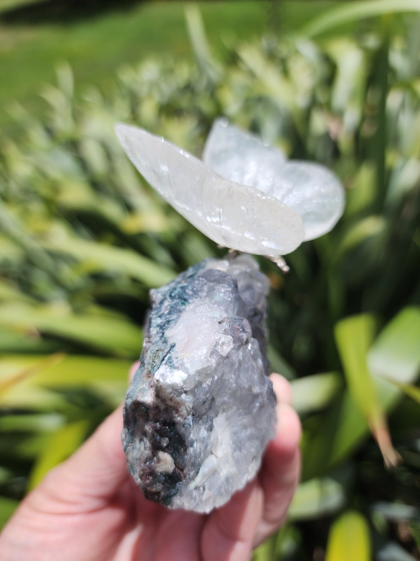 Clear Quartz Butterfly on Amethyst