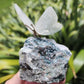 Clear Quartz Butterfly on Amethyst