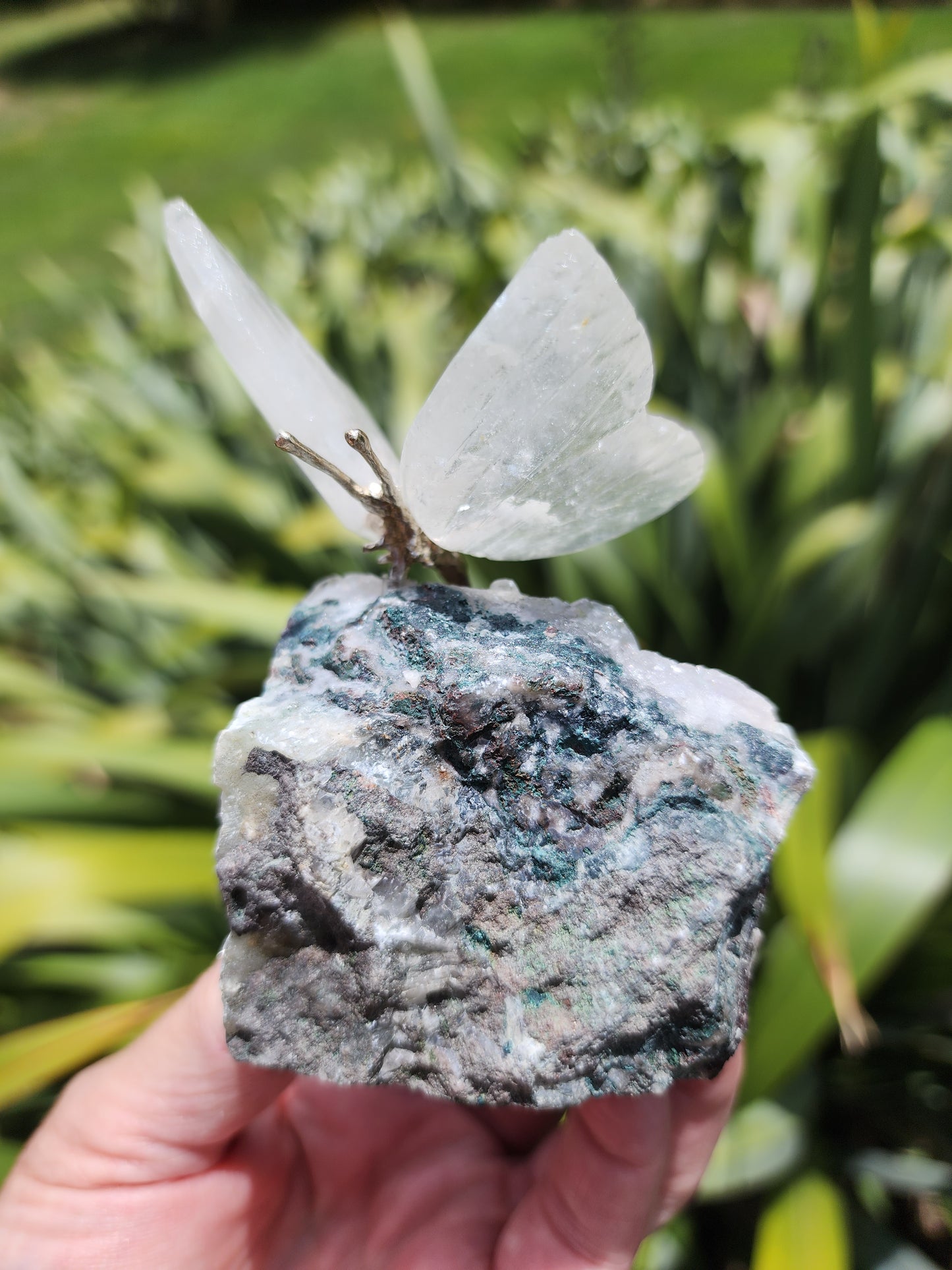 Clear Quartz Butterfly on Amethyst