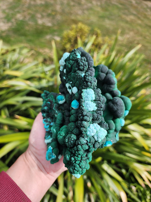 Raw Botryoidal Malachite Chrysocolla Specimen