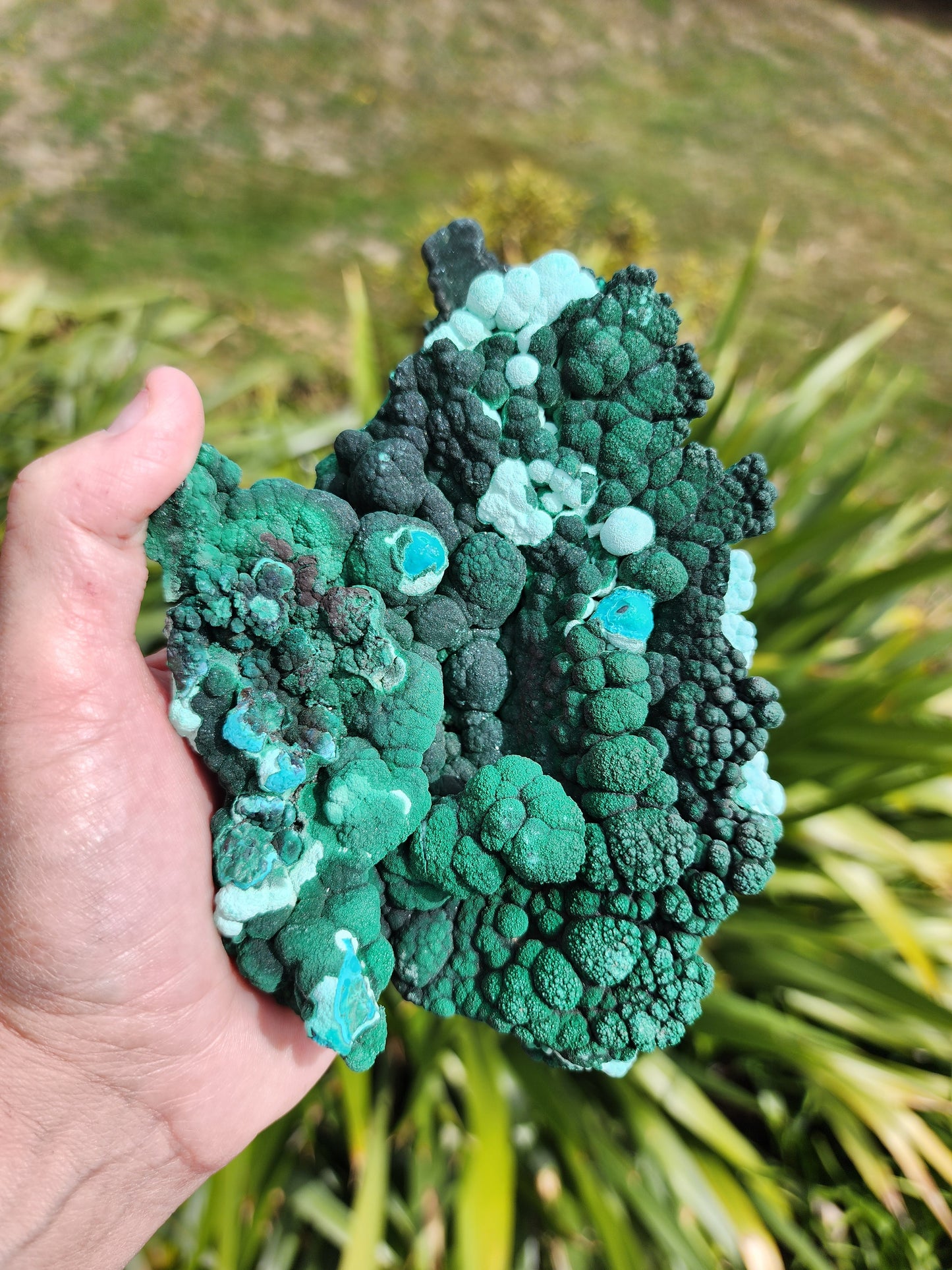 Raw Botryoidal Malachite Chrysocolla Specimen