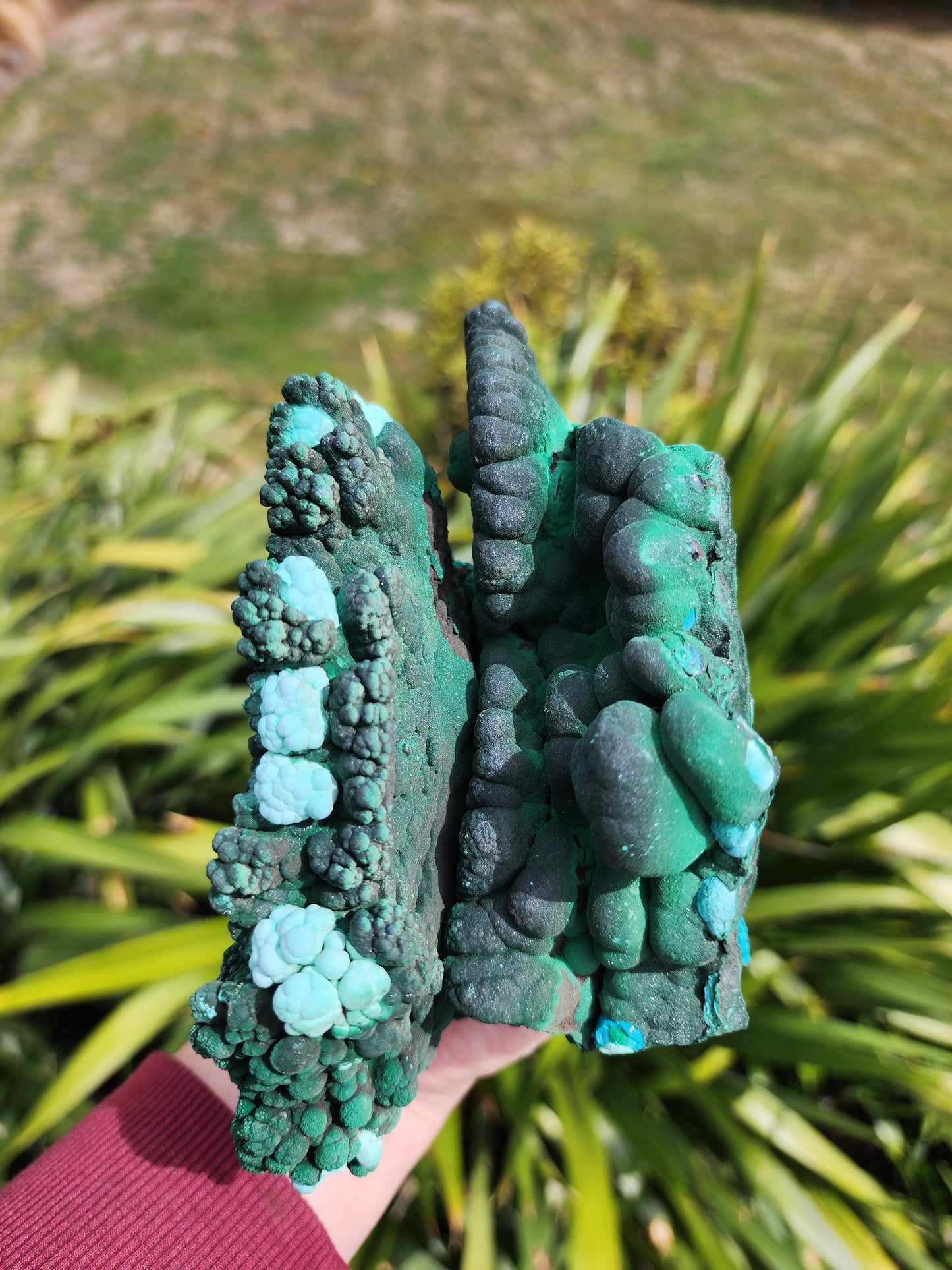 Raw Botryoidal Malachite Chrysocolla Specimen