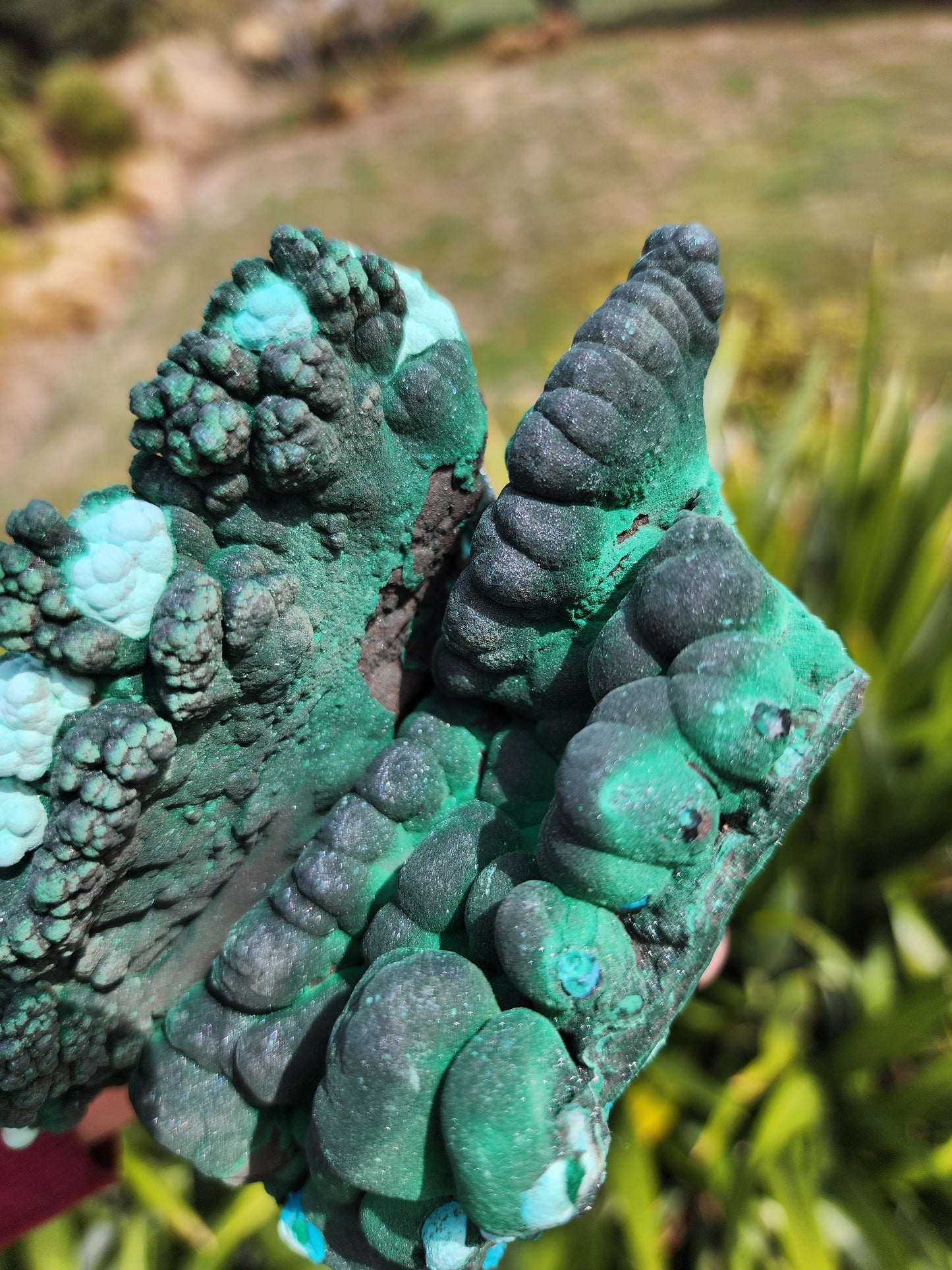 Raw Botryoidal Malachite Chrysocolla Specimen