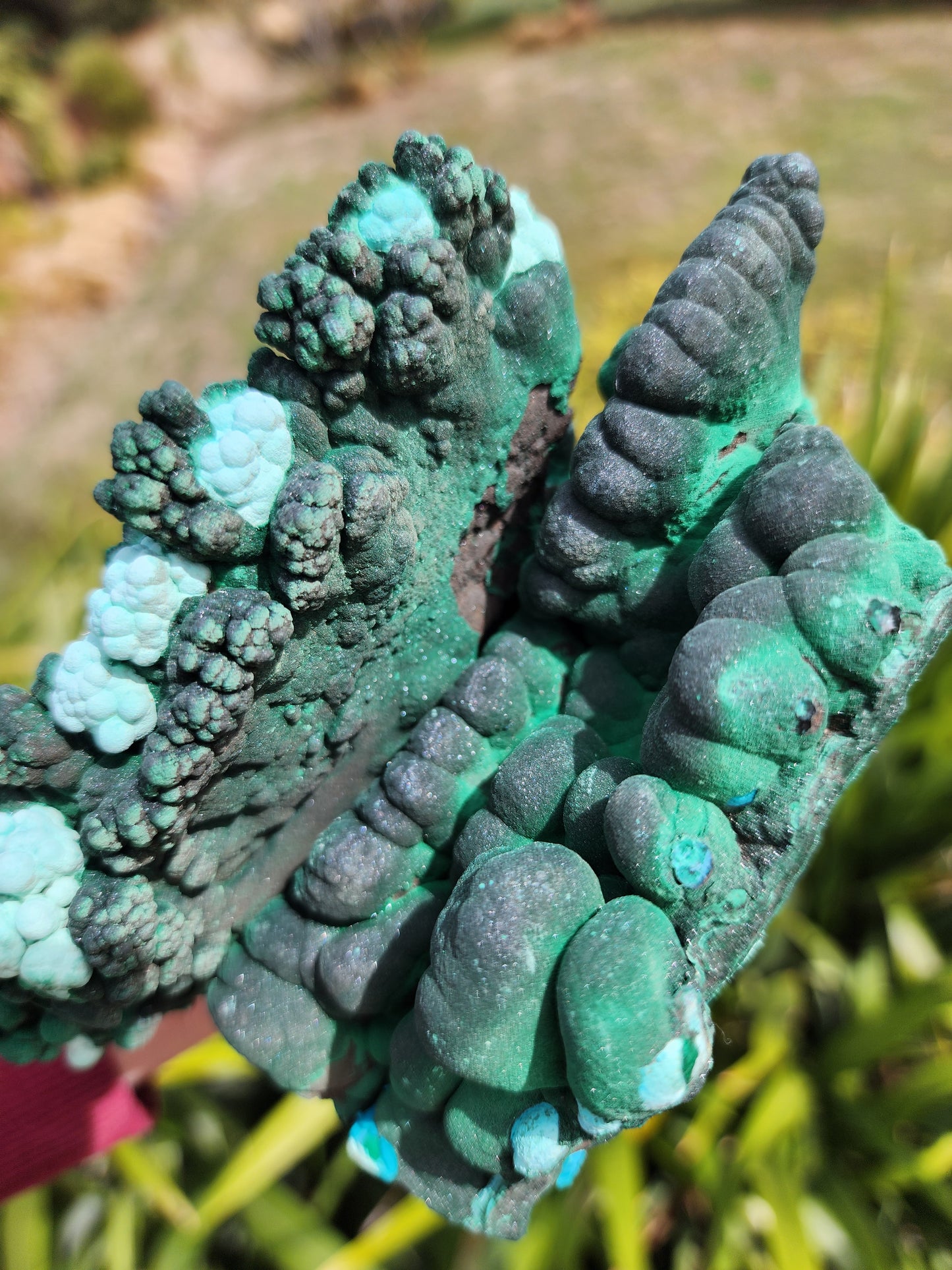 Raw Botryoidal Malachite Chrysocolla Specimen