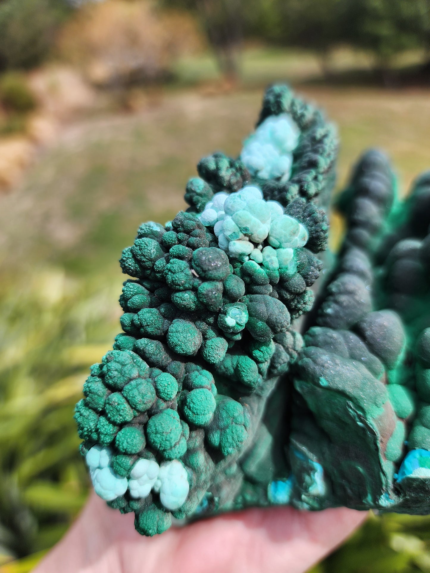 Raw Botryoidal Malachite Chrysocolla Specimen