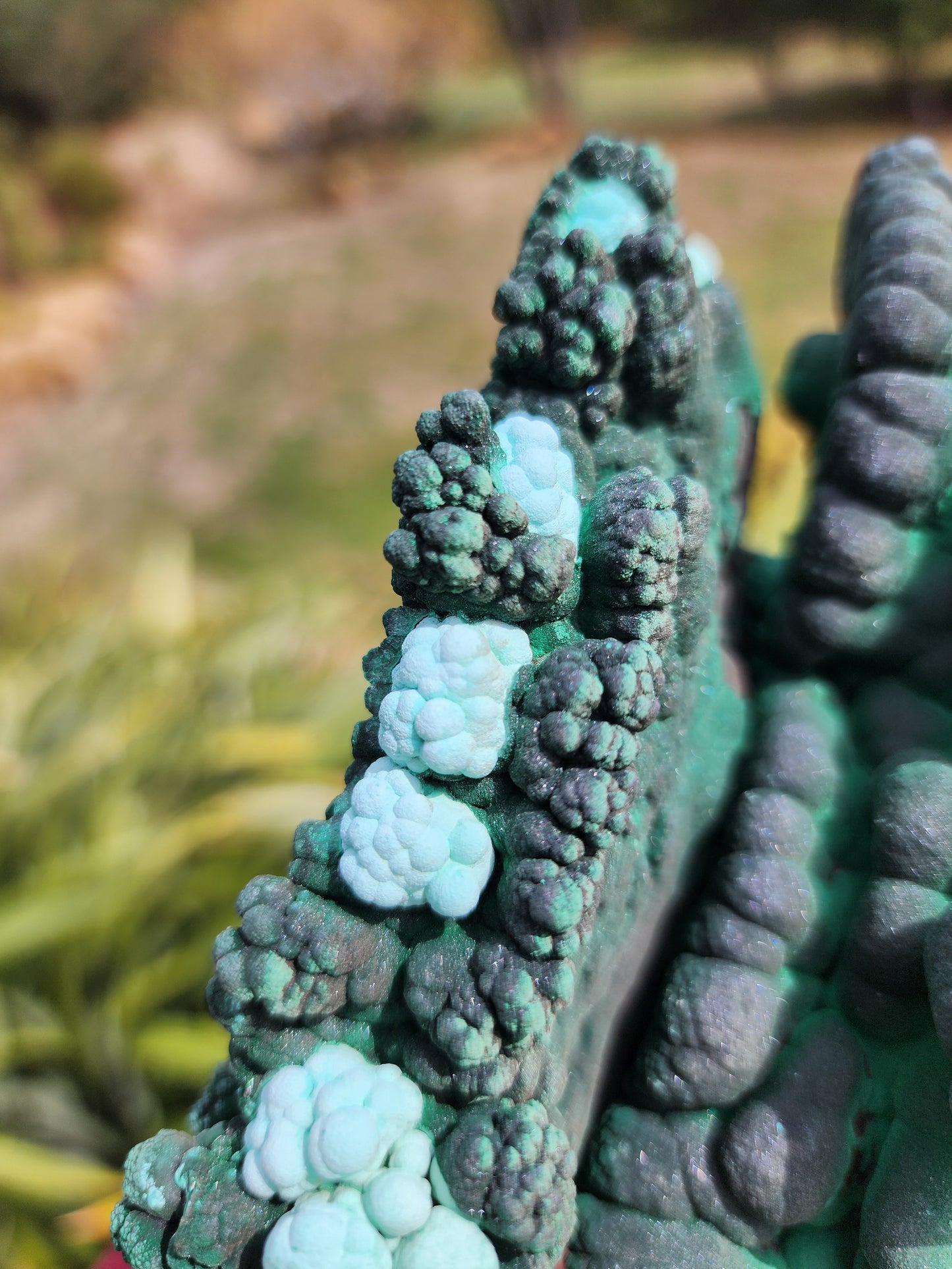 Raw Botryoidal Malachite Chrysocolla Specimen