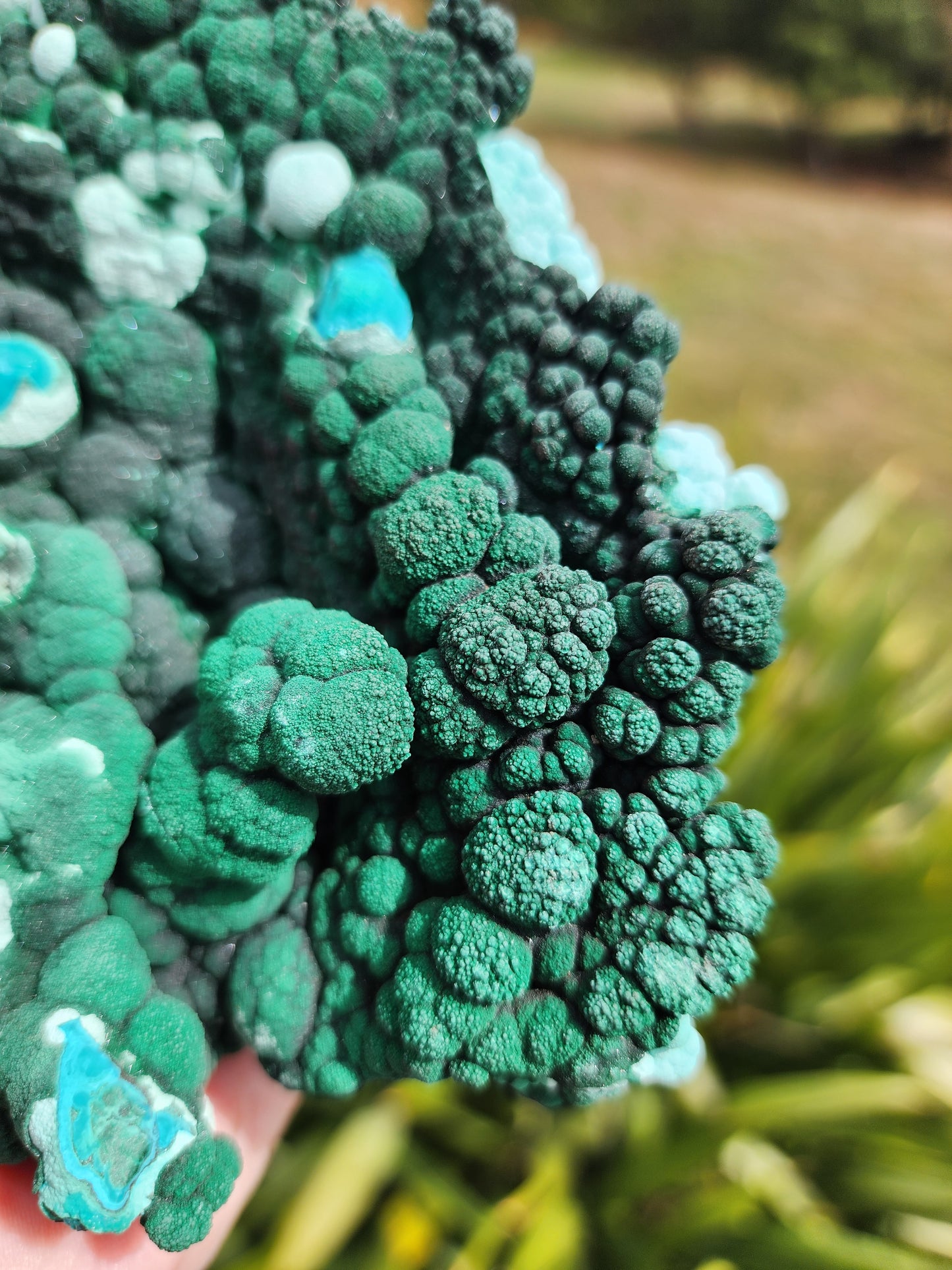 Raw Botryoidal Malachite Chrysocolla Specimen