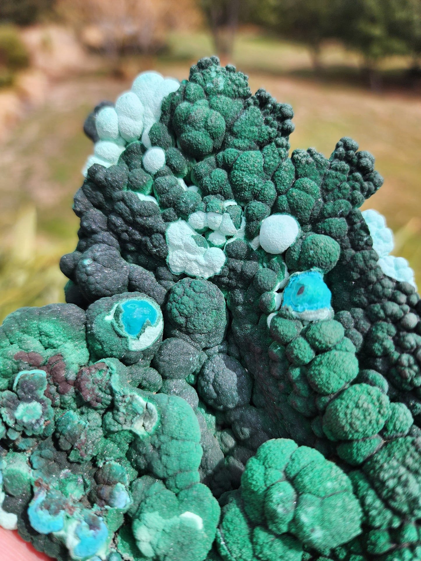 Raw Botryoidal Malachite Chrysocolla Specimen