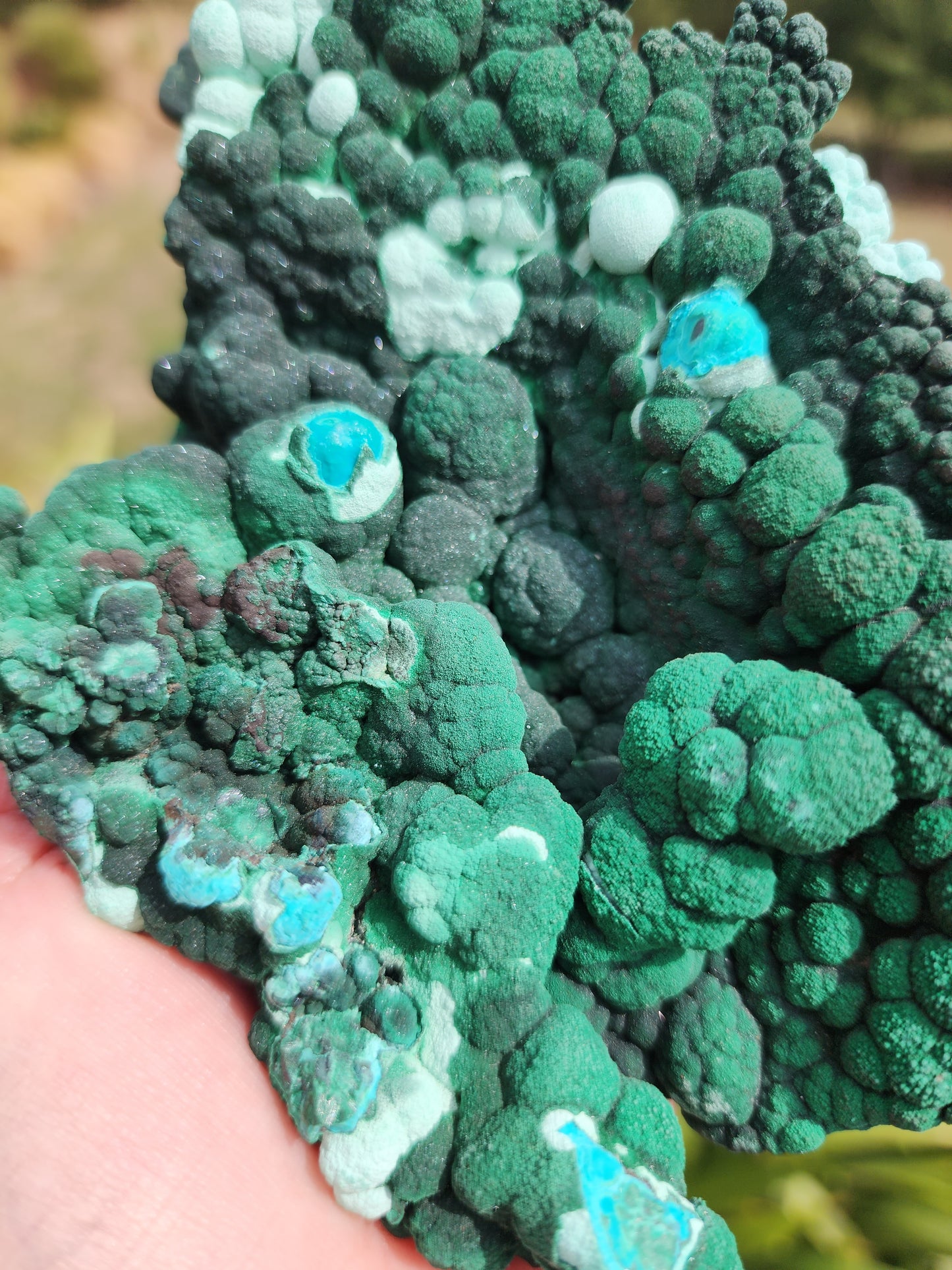 Raw Botryoidal Malachite Chrysocolla Specimen