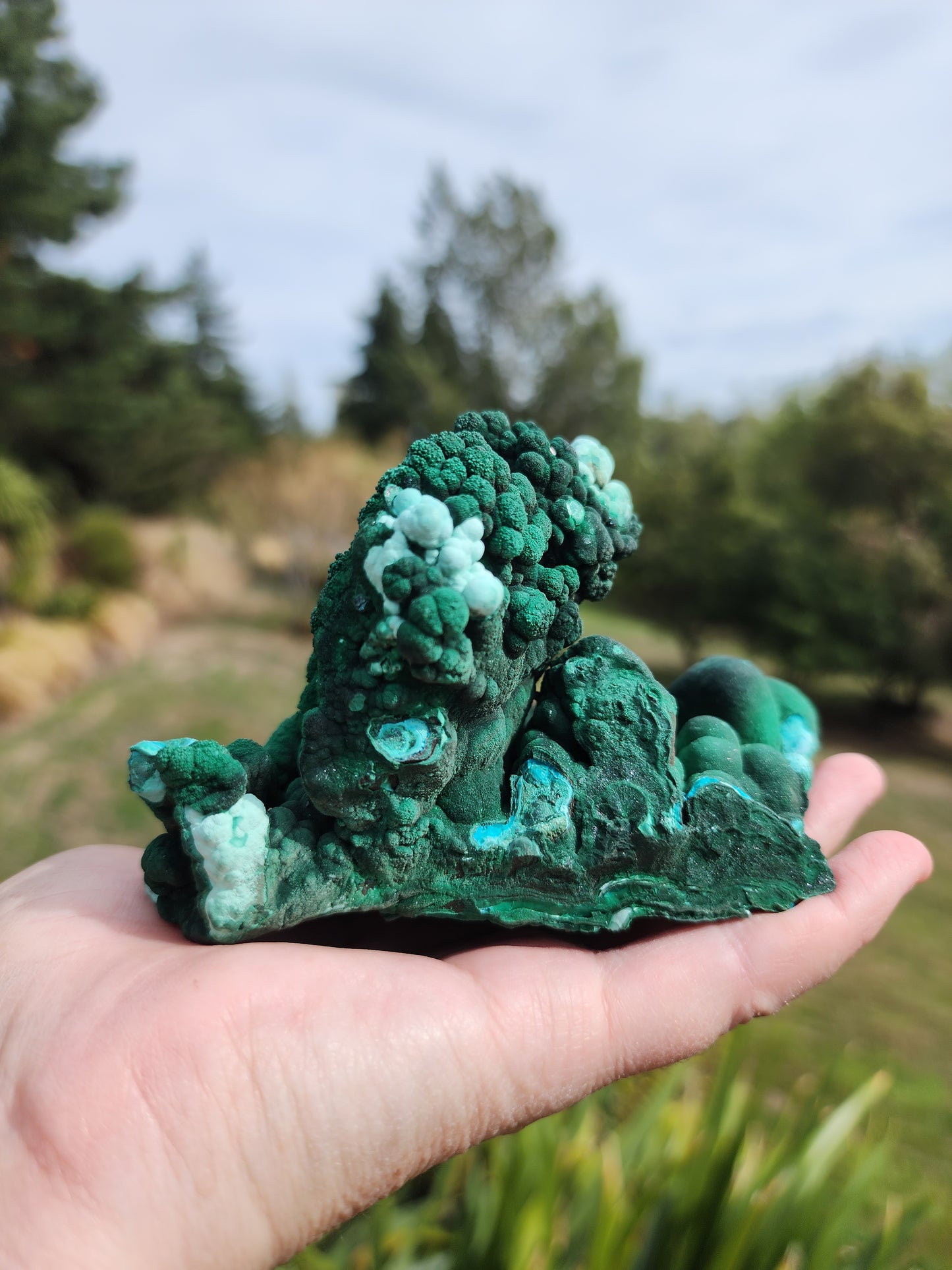 Raw Botryoidal Malachite Chrysocolla Specimen