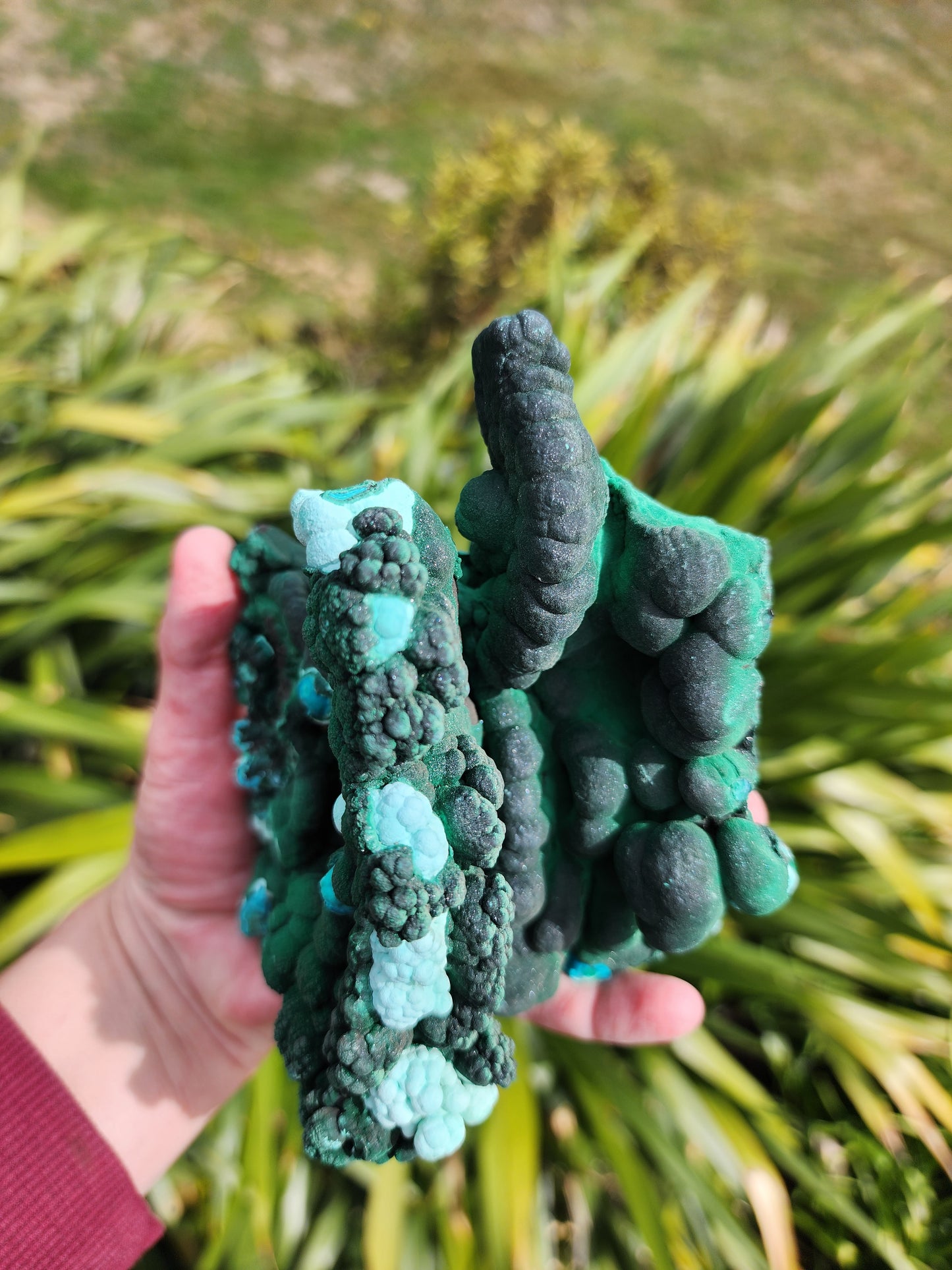 Raw Botryoidal Malachite Chrysocolla Specimen