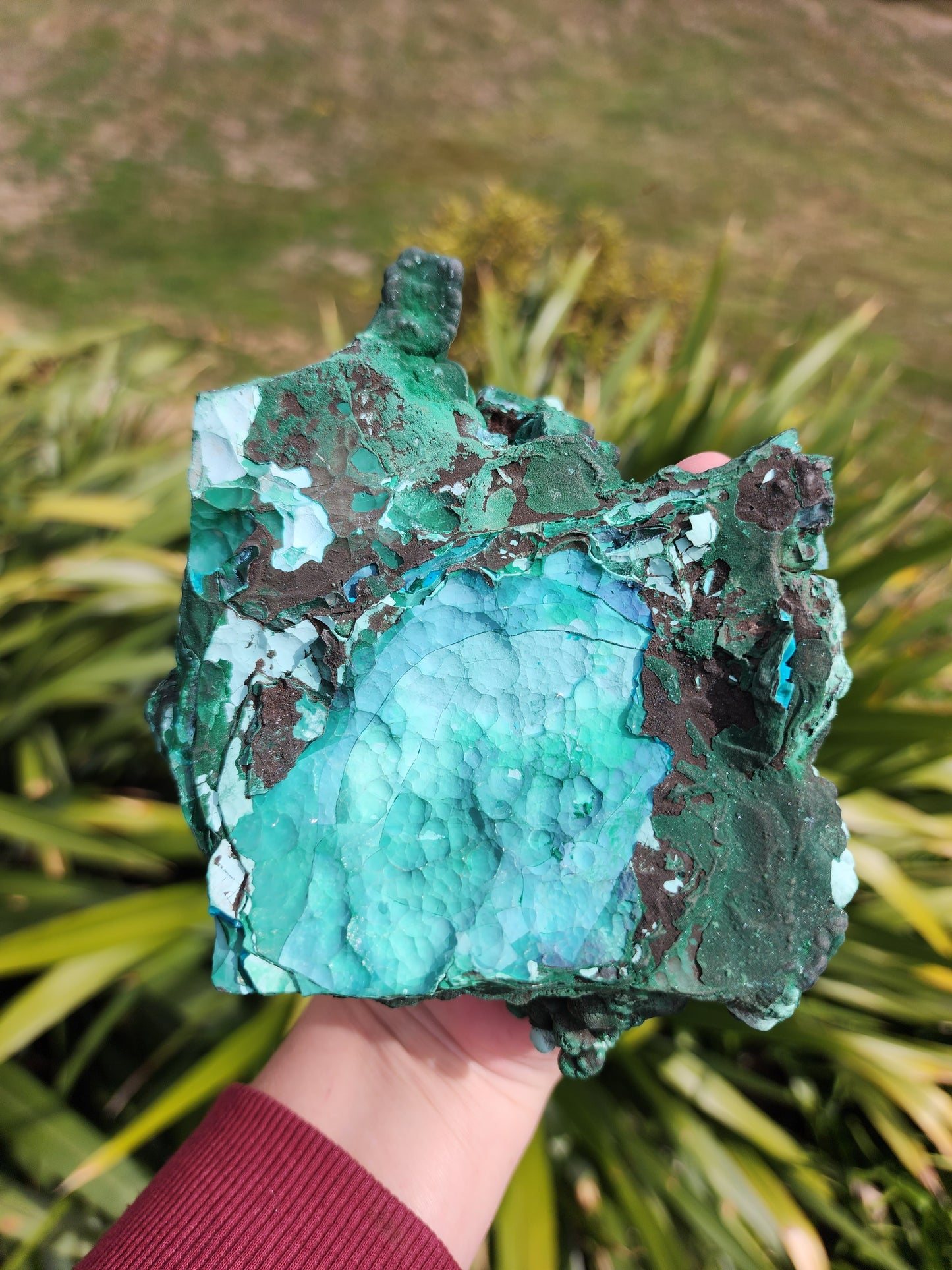 Raw Botryoidal Malachite Chrysocolla Specimen