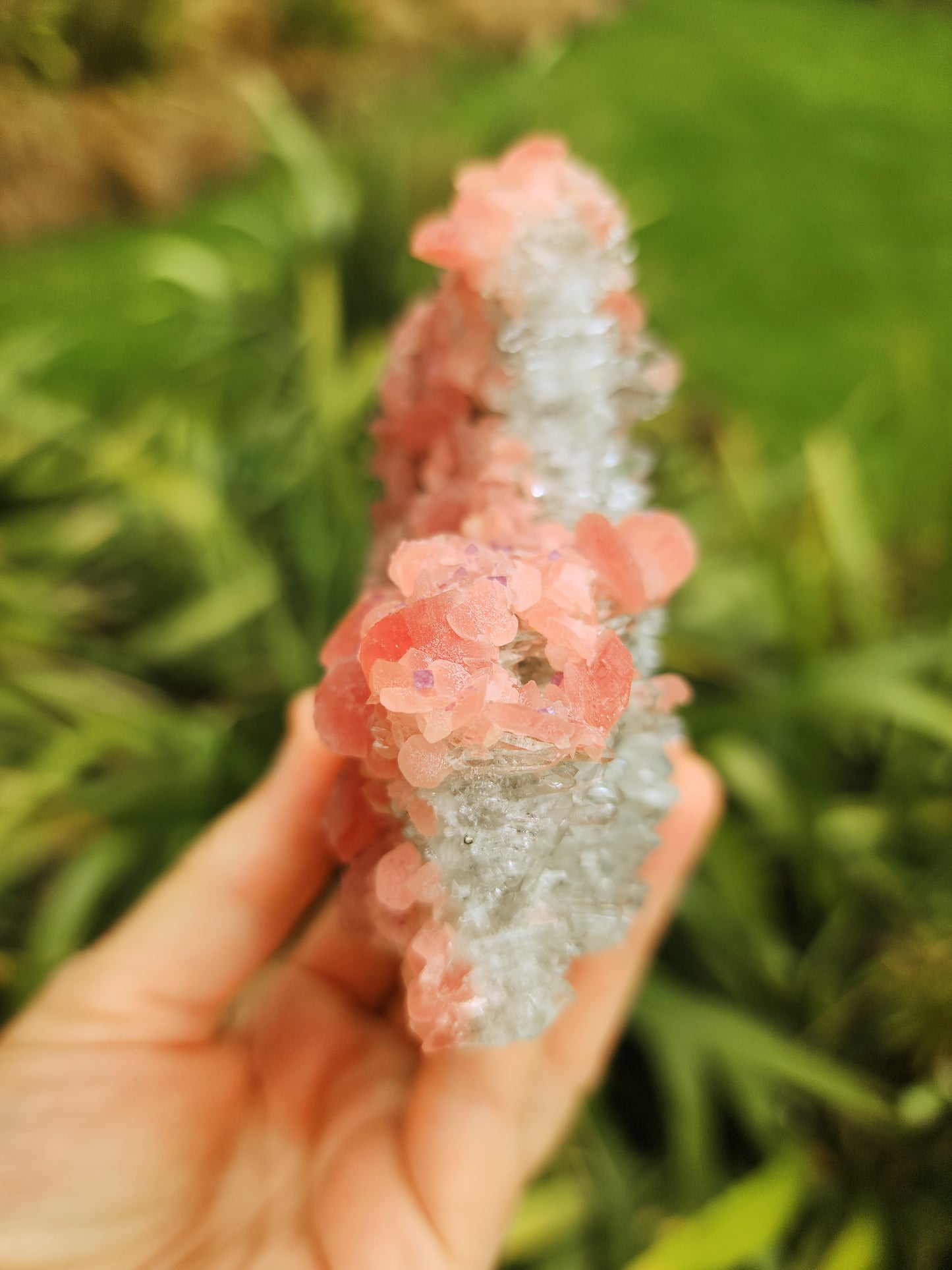 Rhodochrosite Specimen with Fluorite, Quartz and Pyrite