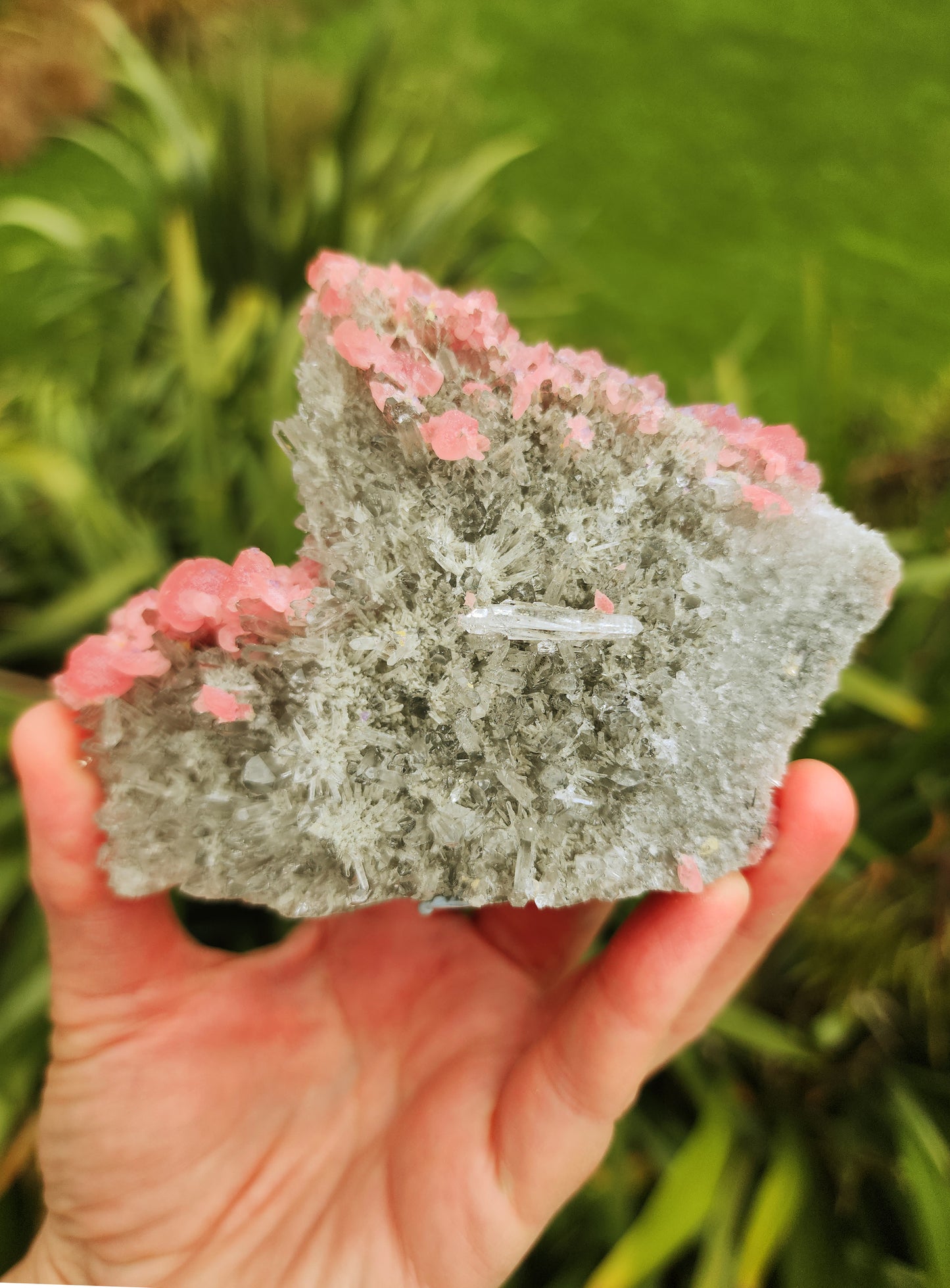 Rhodochrosite Specimen with Fluorite, Quartz and Pyrite