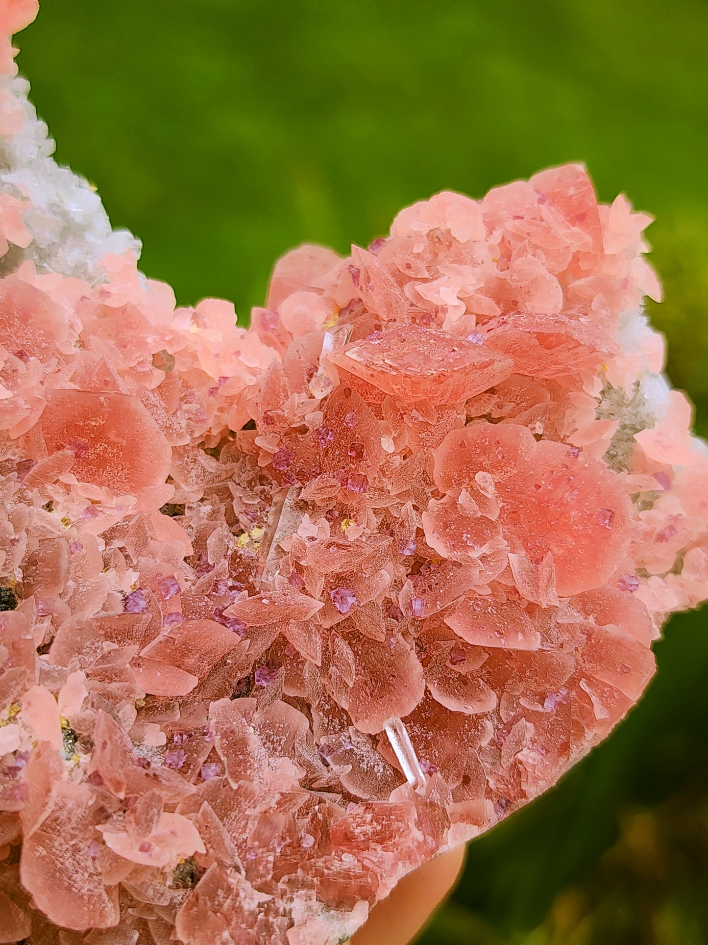 Rhodochrosite Specimen with Fluorite, Quartz and Pyrite