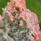 Rhodochrosite Specimen with Fluorite, Quartz and Pyrite