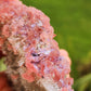 Rhodochrosite Specimen with Fluorite, Quartz and Pyrite