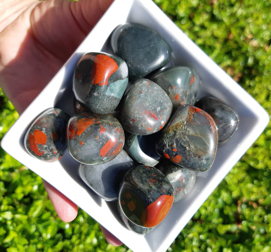 African Bloodstone Tumbles