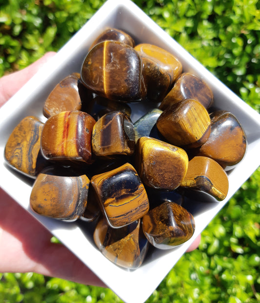 Tiger Eye Tumbles