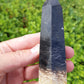 Petrified Palm Root Point