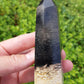 Petrified Palm Root Point