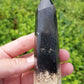Petrified Palm Root Point