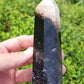Petrified Palm Root Point