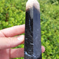 Petrified Palm Root Point