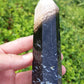 Petrified Palm Root Point
