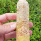 Petrified Palm Root Point