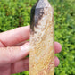 Petrified Palm Root Point