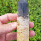 Petrified Palm Root Point