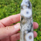 Orbicular Ocean Jasper Point