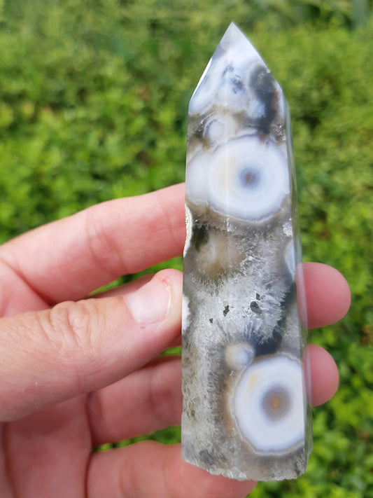 Orbicular Ocean Jasper Point