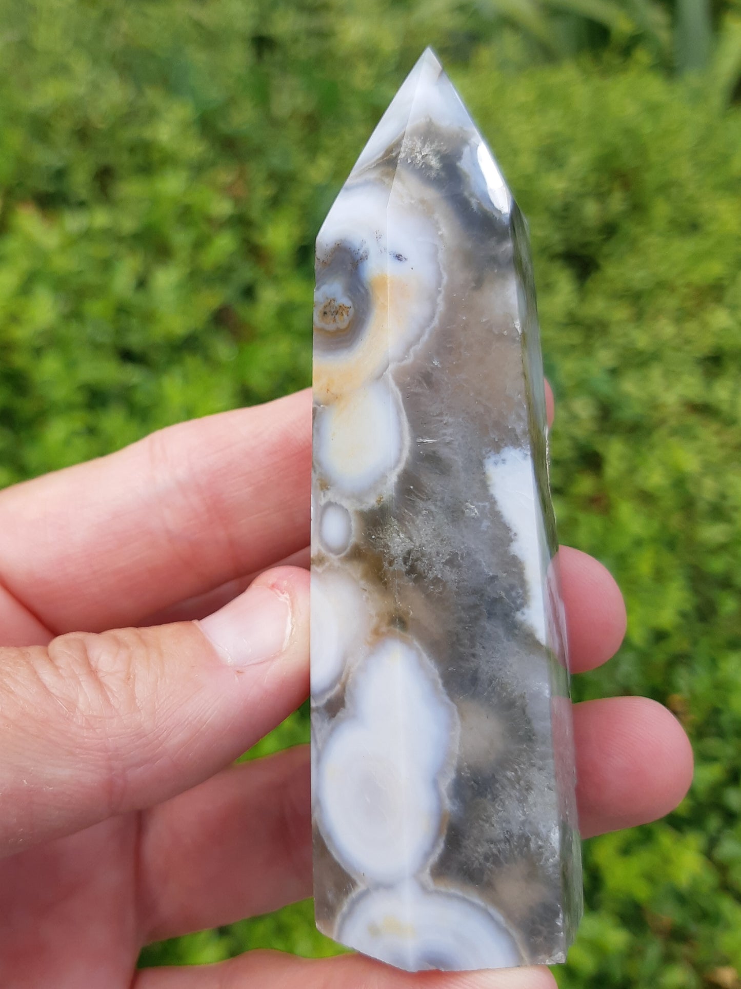 Orbicular Ocean Jasper Point