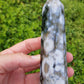 Orbicular Ocean Jasper Point