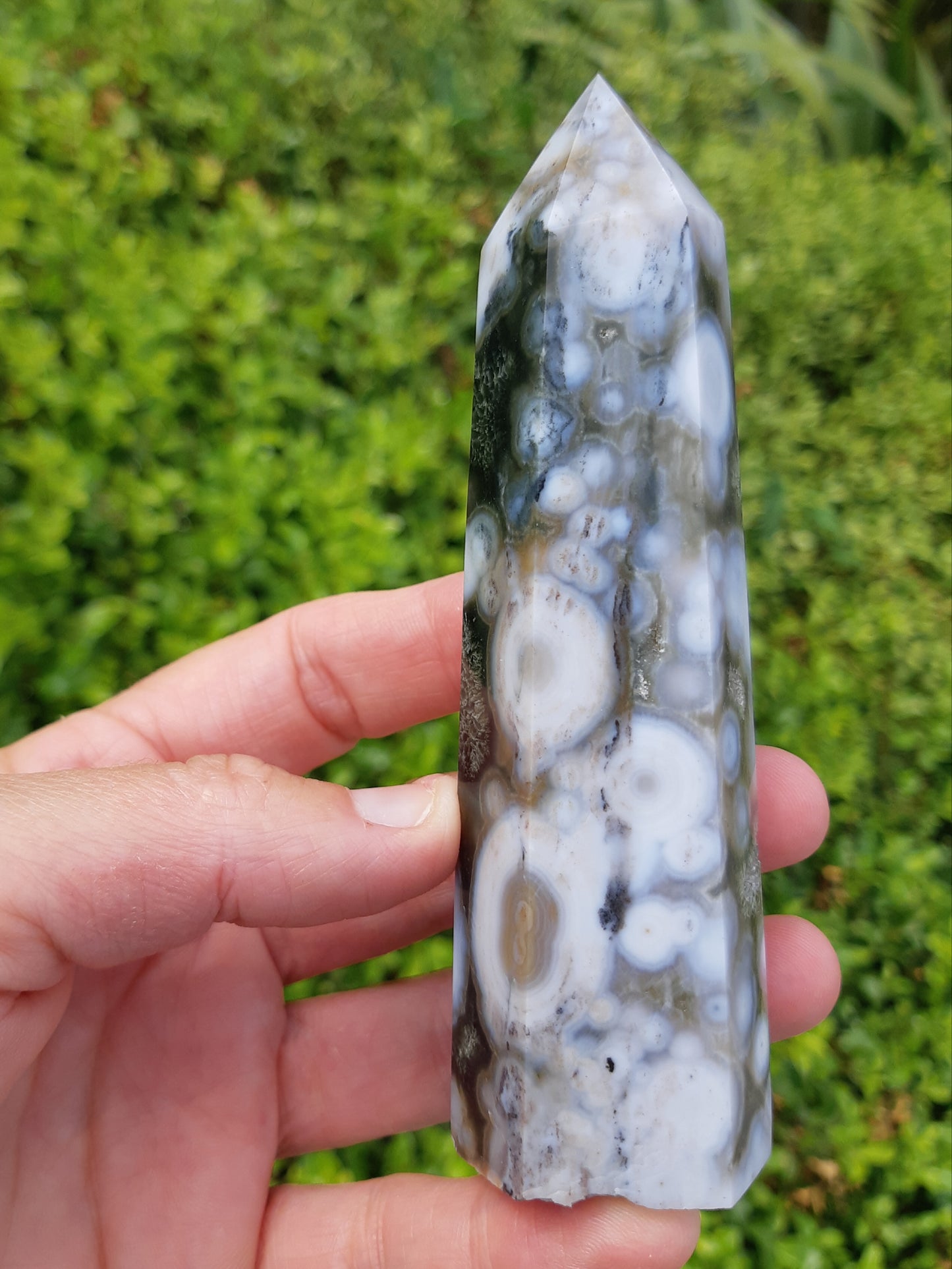 Orbicular Ocean Jasper Point