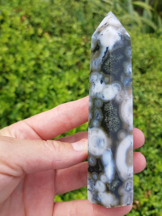 Orbicular Ocean Jasper Point