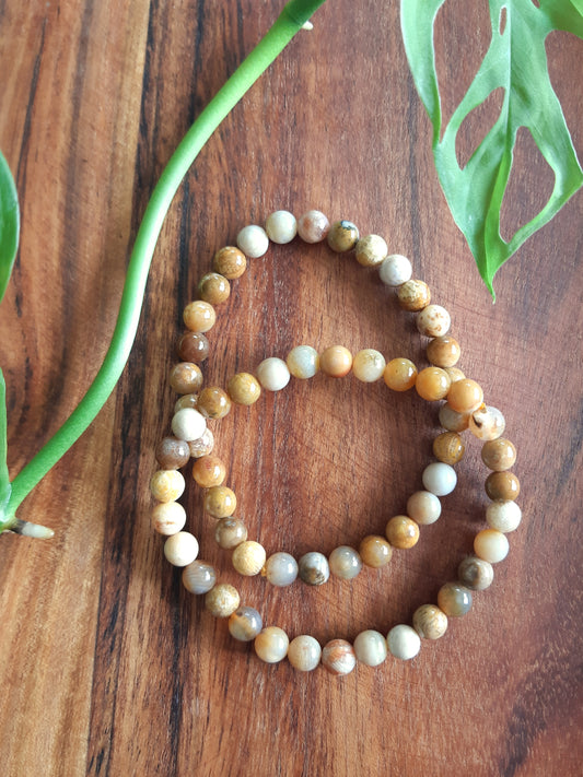 Fossilized Coral Bracelet