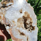 Flower Agate Geode