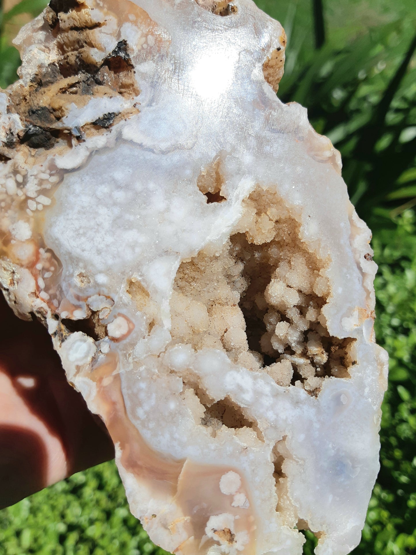 Flower Agate Geode