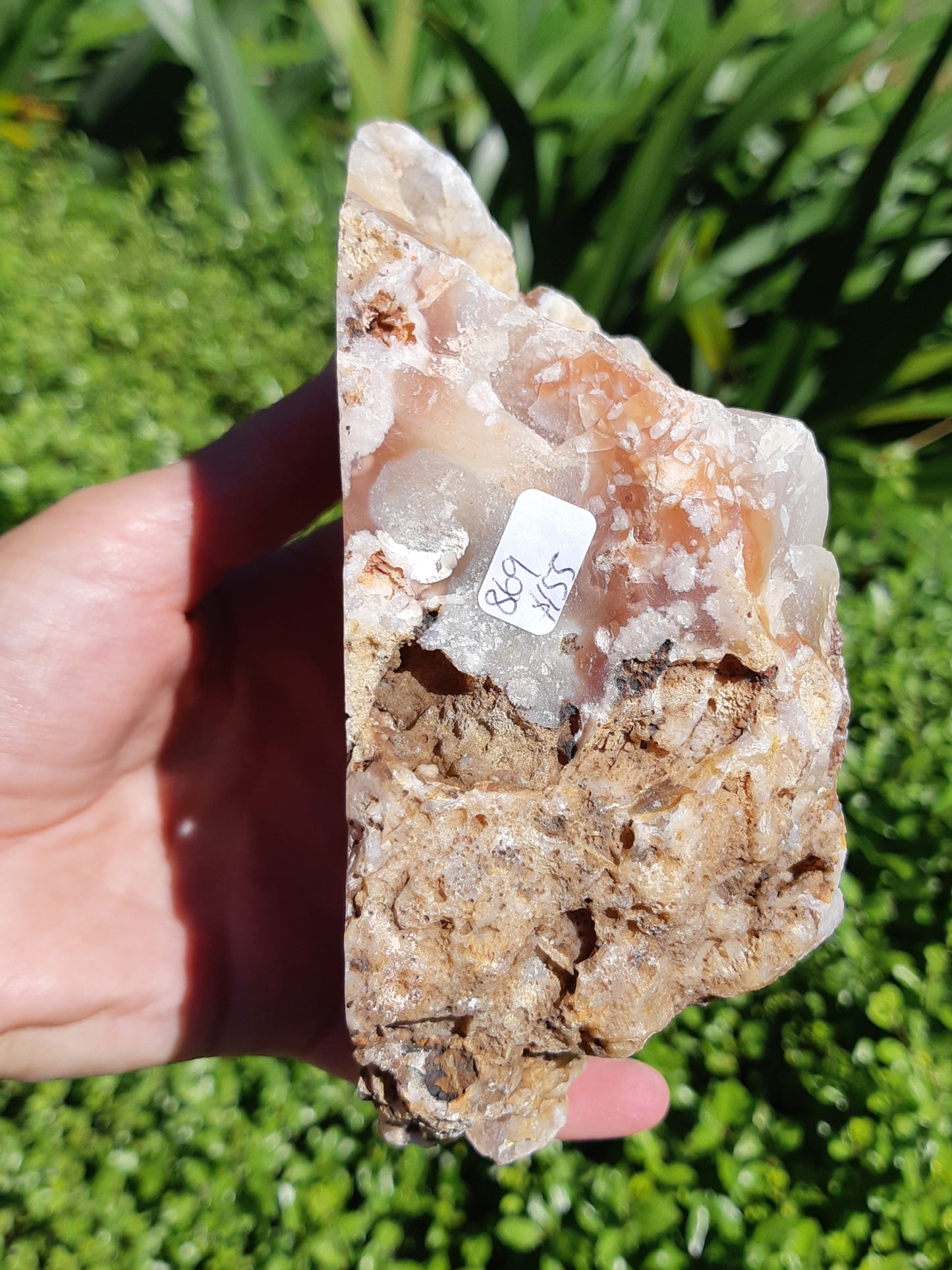 Flower Agate Geode