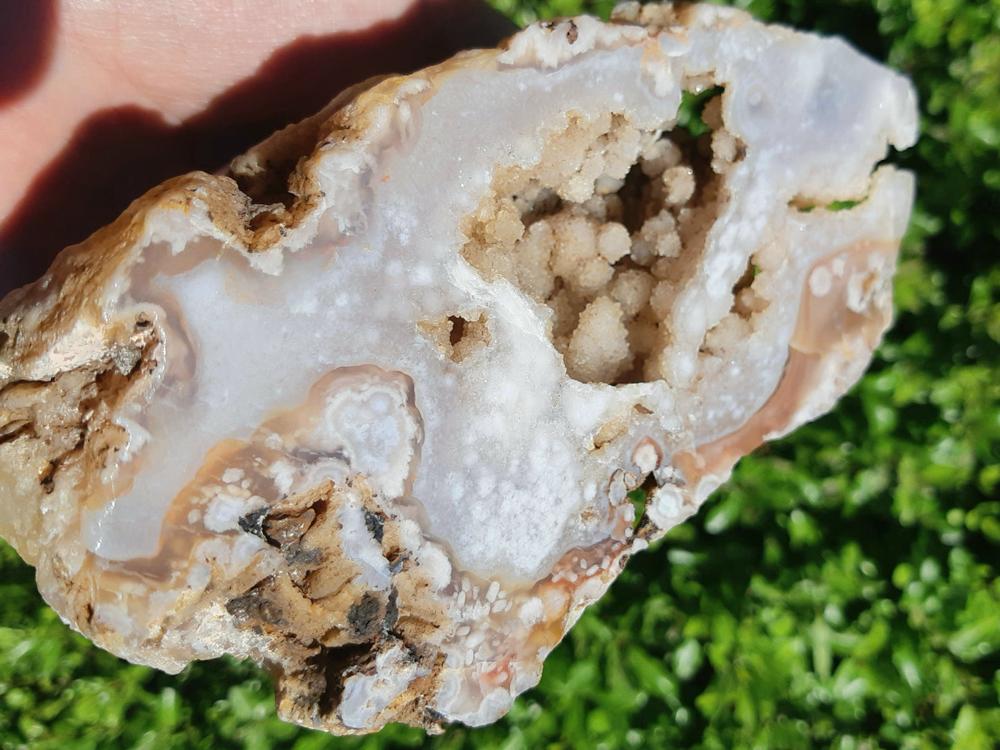 Flower Agate Geode