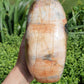 Petrified Wood Freeform